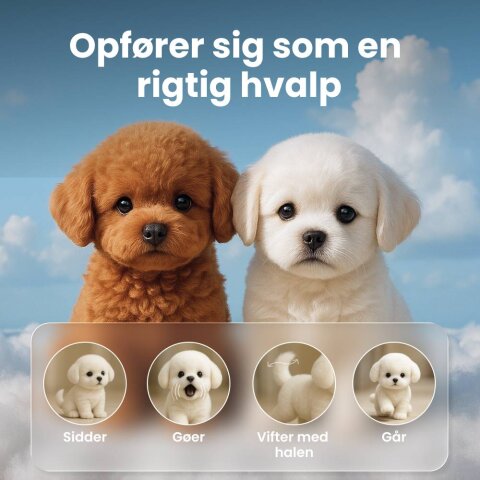 Wuffy image